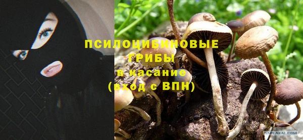 меф Алзамай
