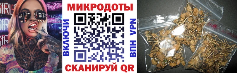 Галлюциногенные грибы Psilocybe  где купить наркоту  Евпатория 